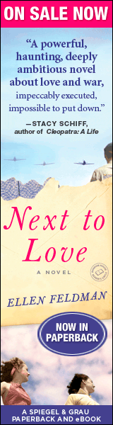 Spiegel & Grau: Next to Love by Ellen Feldman