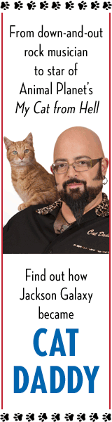 Tarcher: Cat Daddy: How One Very Special Cat Fixed One Very Broken Man by Jackson Galaxy