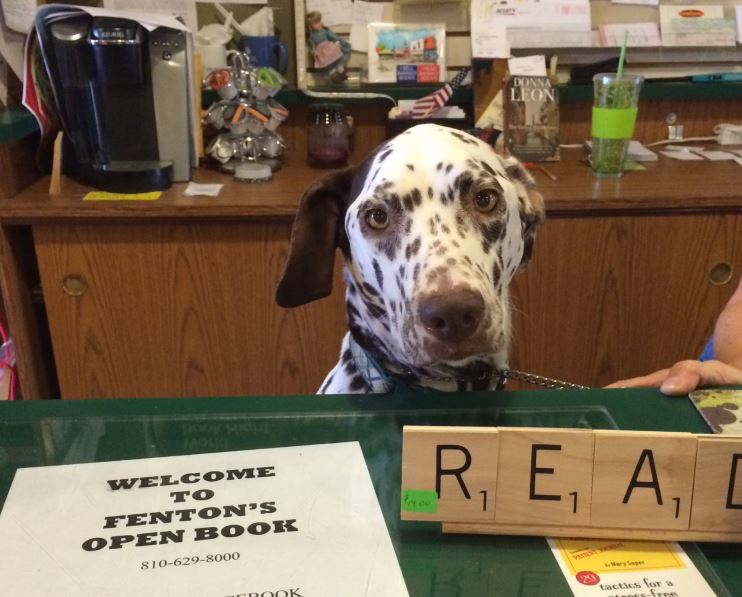 stormy fenton's bookstore dog