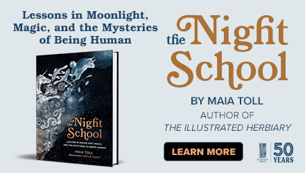 Running Press Adult: The Night School: Lessons in Moonlight, Magic, and the Mysteries of Being Human by Maia Toll, illustrated by Lucille Clerc