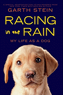 Children's Review: <i>Racing in the Rain: My Life as a Dog</i>