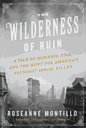 The Wilderness of Ruin: A Tale of Madness, Fire and the Hunt for America's Youngest Serial Killer