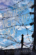 YA Review <i>An Uninterrupted View of the Sky</i>
