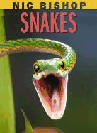Nic Bishop Snakes