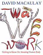 Children's Review: <i>The Way We Work</i>