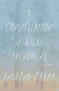 A Constellation of Vital Phenomena