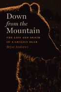 Down from the Mountain: The Life and Death of a Grizzly Bear 