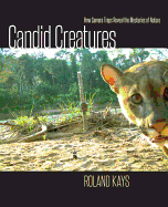 Candid Creatures: How Camera Traps Reveal the Mysteries of Nature