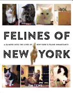 Felines of New York: A Glimpse into the Lives of New York's Feline Inhabitants
