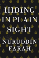 Review: <i>Hiding in Plain Sight</i>