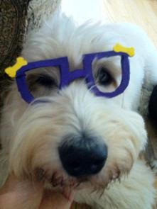 Arlo wearing glasses