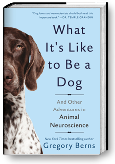 Basic Books: What It's Like to Be a Dog: And Other Adventures in Animal Neuroscience by Gregory Berns