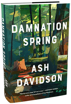 Scribner Book Company: Damnation Spring by Ash Davidson