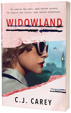 Sourcebooks Landmark: Widowland by C.J. Carey