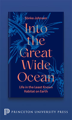 Princeton University Press: Into the Great Wide Ocean: Life in the Least Known Habitat on Earth by Sönke Johnsen