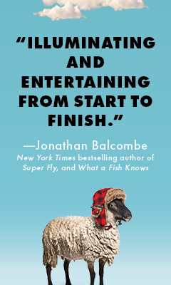 Sourcebooks: What Sheep Think about the Weather: How to Listen to What Animals Are Trying to Say by Amelia Thomas
