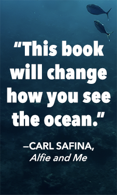 Torrey House Press: Sea Change: Unlikely Allies and a Success Story of Oceanic Proportions by James Workman and Amanda Leland