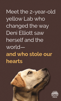 Beacon Press: Catching Sight: How a Guide Dog Helped Me See Myself by Deni Elliott