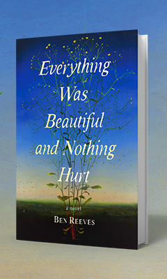 Avid Reader Press: Everything Was Beautiful and Nothing Hurt by Ben Reeves