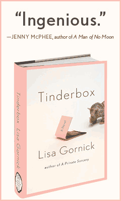 Farrar Straus Giroux: Tinderbox by Lisa Gornick