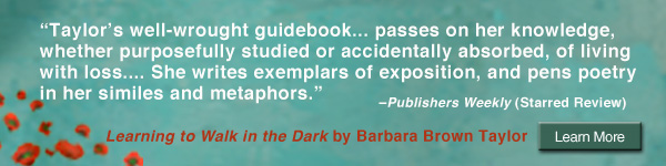 HarperOne: Learning to Walk in the Dark by Barbara Brown Taylor
