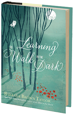 HarperOne: Learning to Walk in the Dark by Barbara Brown Taylor