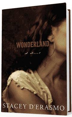 Houghton Mifflin Harcourt: Wonderland by Stacey D'Erasmo