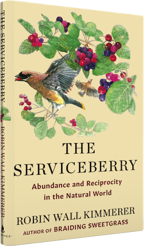 The Serviceberry: Abundance and Reciprocity in the Natural World