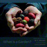What Is a Garden?