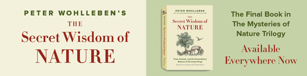 Greystone Books: The Secret Wisdom of Nature: Trees, Animals, and the Extraordinary Balance of All Living Things (Mysteries of Nature Trilogy #3) by Peter Wohlleben, translated by Jane Billinghurst