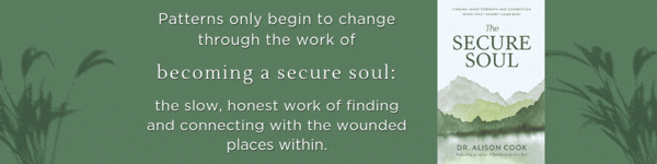 Thomas Nelson: The Secure Soul: Finding Inner Strength and Connection When Trust Doesn't Come Easy by Dr. Alison Cook