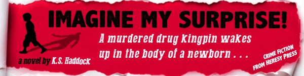 Heresy Press: Imagine My Surprise! by K.S. Haddock