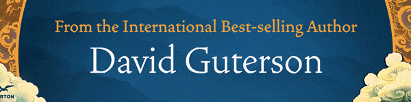 W. W. Norton & Company: Evelyn in Transit by Dave Guterson