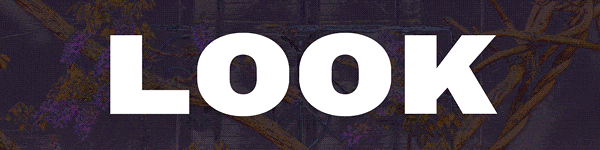 W. W. Norton & Company: Look What You Made Me Do by John Lanchester