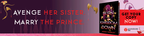 Sourcebooks Fire: Burn the Kingdom Down By Addie Thorley