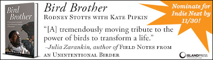 Island Press: Bird Brother: A Falconer's Journey and the Healing Power of Wildlife by Rodney Stotts with Kate Pipkin