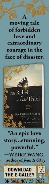 Other Press (NY): The Rebel and the Thief by Jan-Philipp Sendker, translated by Imogen Taylor