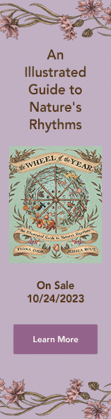 Andrews McMeel Publishing: The Wheel of the Year: An Illustrated Guide to Nature's Rhythms by Fiona Cook, illustrated by Jessica Roux