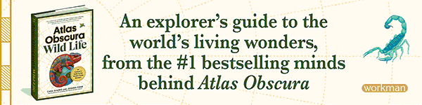 Workman Publishing: Atlas Obscura: Wild Life: An Explorer's Guide to the World's Living Wonders by Cara Giaimo and Joshua Foer