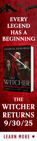 Orbit: Crossroads of Ravens (Witcher) by Andrzej Sapkowski