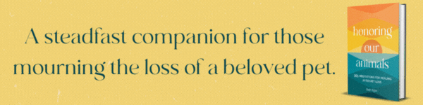 Wellfleet Press: Honoring Our Animals: 365 Meditations for Healing After Pet Loss by Beth Bigler