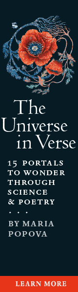 Storey Publishing: The Universe in Verse: 15 Portals to Wonder Through Science & Poetry by Maria Popova, illustrated by Ofra Amit