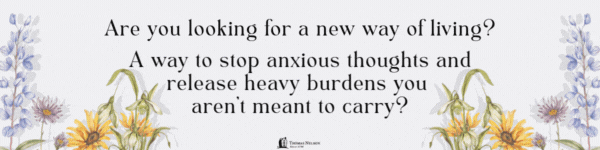 Thomas Nelson: The Way of the Wildflower: Gospel Meditations to Unburden Your Anxious Soul by Ruth Chou Simons