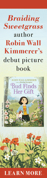 Allida: Bud Finds Her Gift by Robin Wall Kimmerer, illustrated by Naoko Stoop