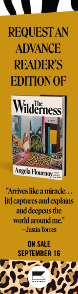 Mariner Books: The Wilderness by Angela Flournoy