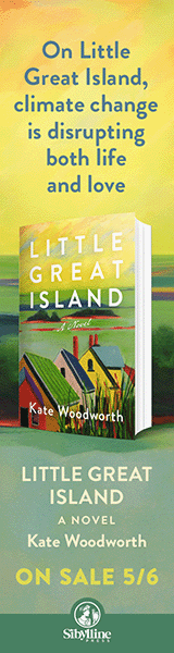 Sibylline Press: Little Great Island by Kate Woodworth