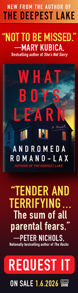 Soho Crime: What Boys Learn by Andromeda Romano-Lax