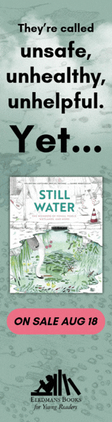 Eerdmans Books for Young Readers: Still Water: The Wonders of Ponds, Pools, Wetlands, and More by Maciej Michno, Danio Miserocchi, and Valentina Gottardi, translated by Sylvia Notini