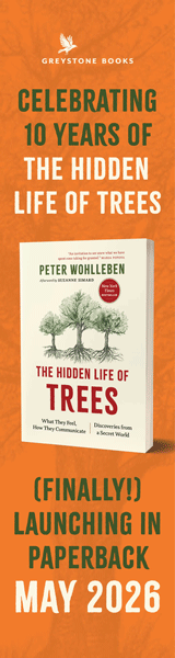 Greystone Books: The Hidden Life of Trees: What They Feel, How They Communicate--Discoveries from a Secret World by Peter Wohlleben, translated by Jane Billinghurst