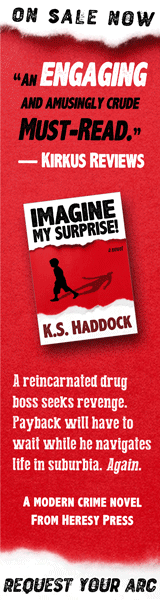 Heresy Press: Imagine My Surprise! by K.S. Haddock